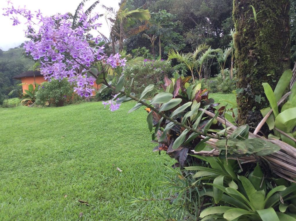 Cabinas Los Guayabos Hotel La Fortuna Exterior photo