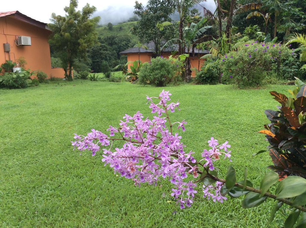 Cabinas Los Guayabos Hotel La Fortuna Exterior photo