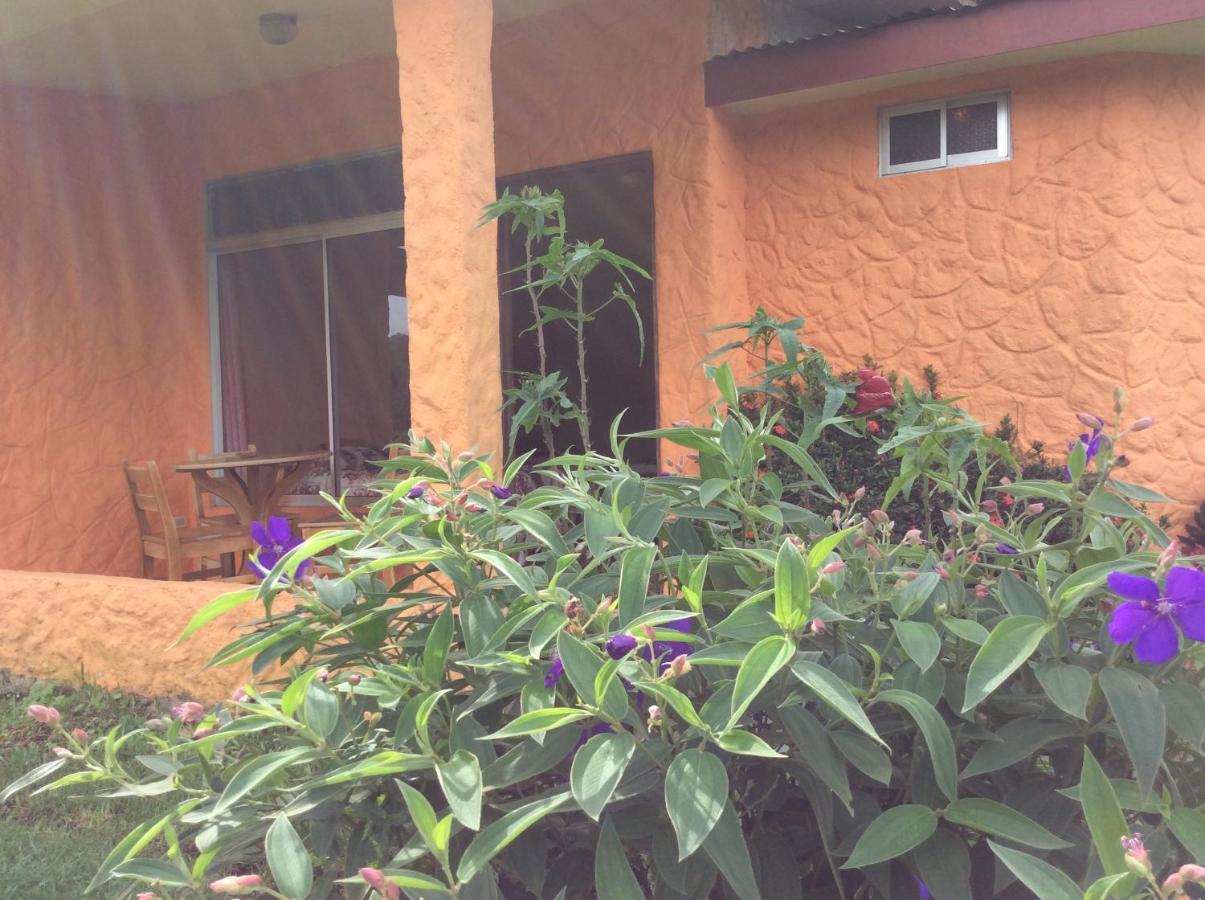 Cabinas Los Guayabos Hotel La Fortuna Exterior photo